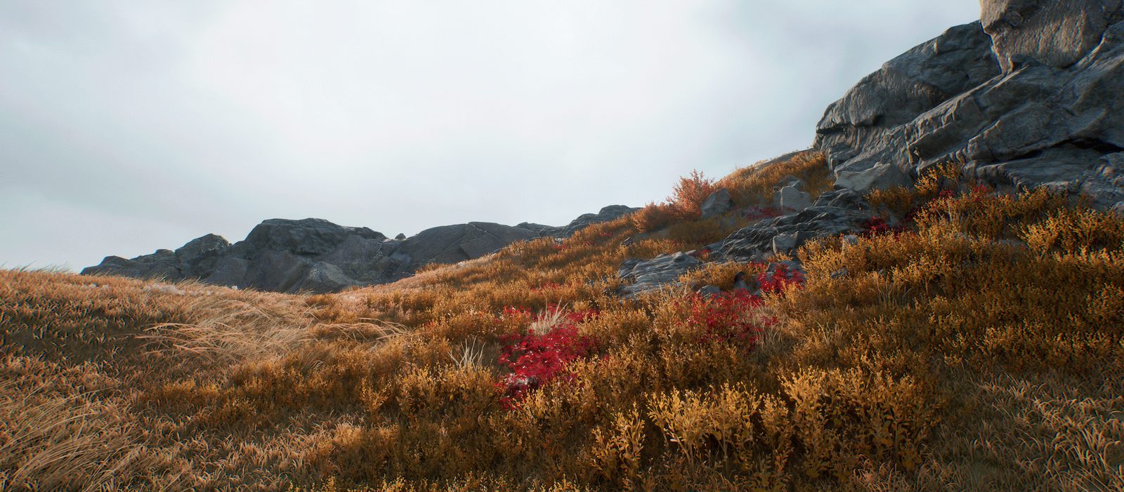 In-engine autumn grassland